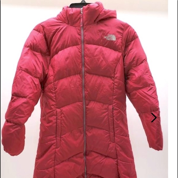 The North Face Other - North Face Coat Size Large 14/16
